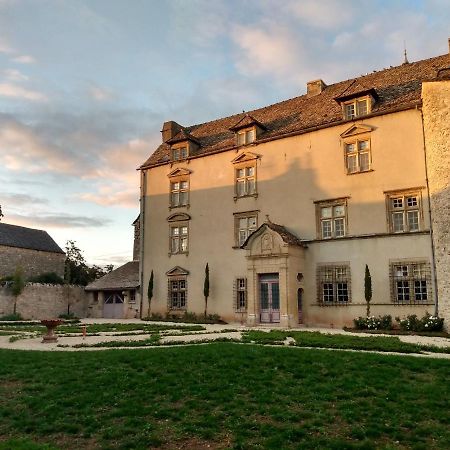 Chateau De Balsac Druelle Balsac Bagian luar foto