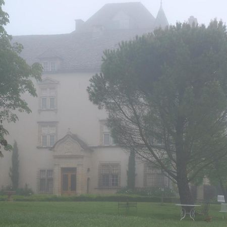Chateau De Balsac Druelle Balsac Bagian luar foto