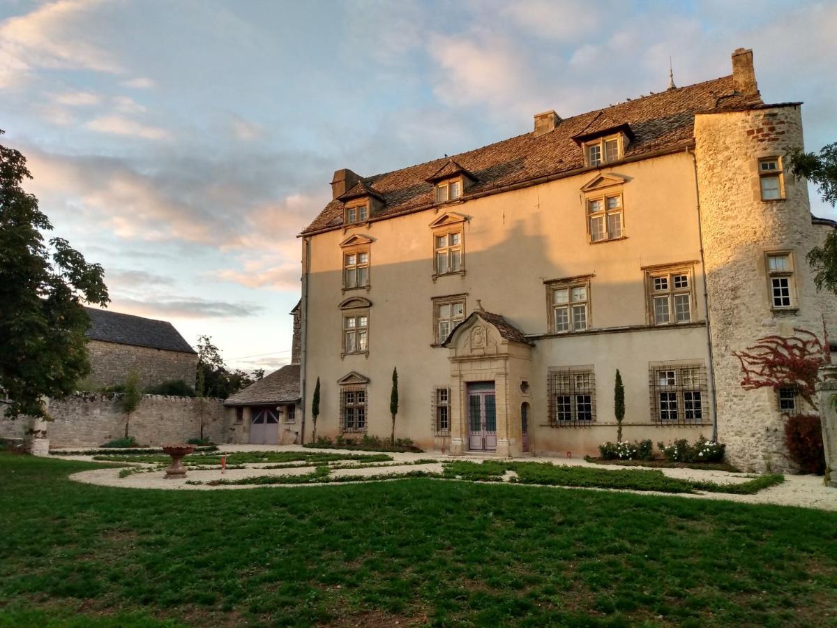 Chateau De Balsac Druelle Balsac Bagian luar foto