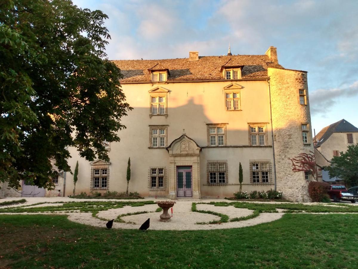 Chateau De Balsac Druelle Balsac Bagian luar foto