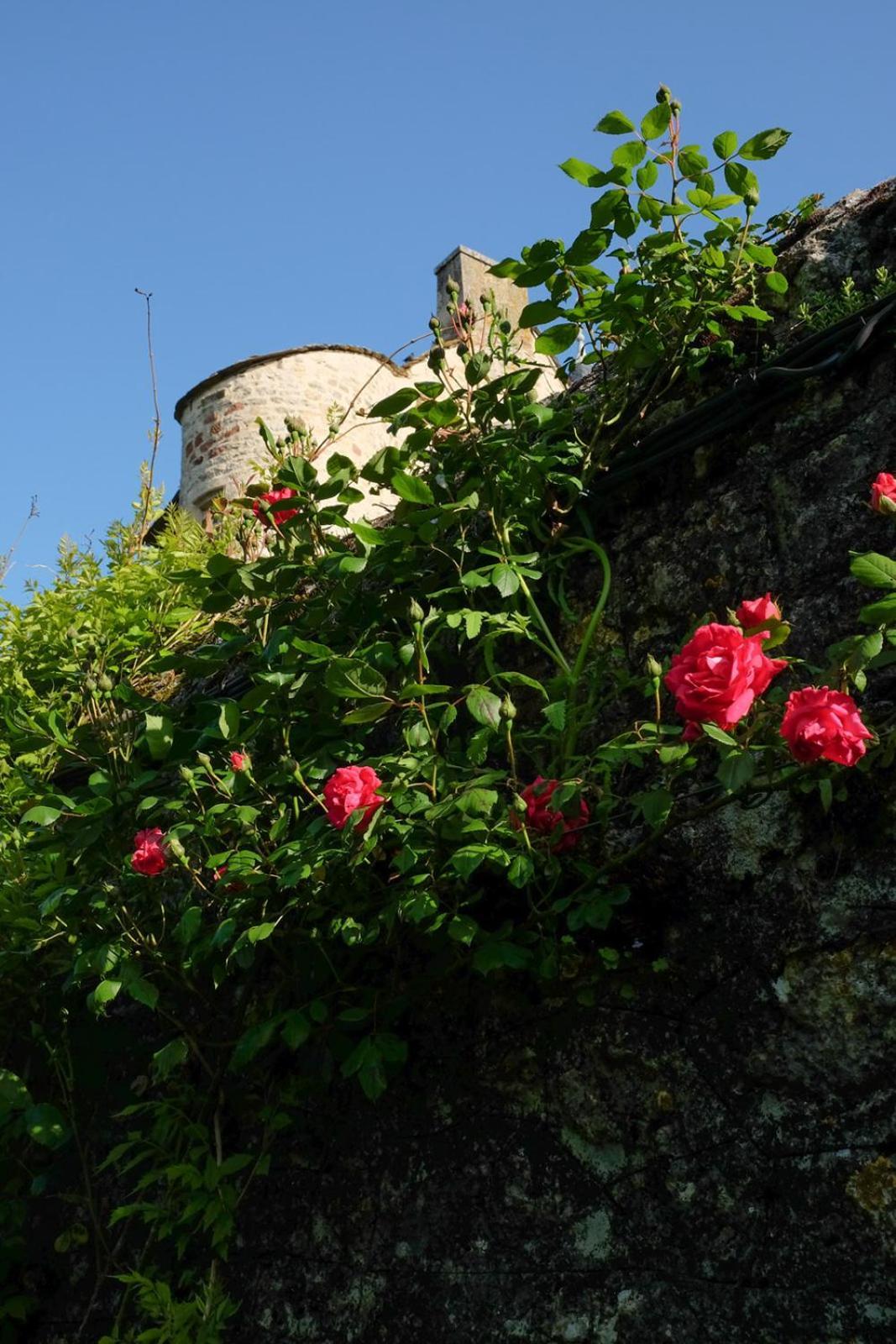 Chateau De Balsac Druelle Balsac Bagian luar foto
