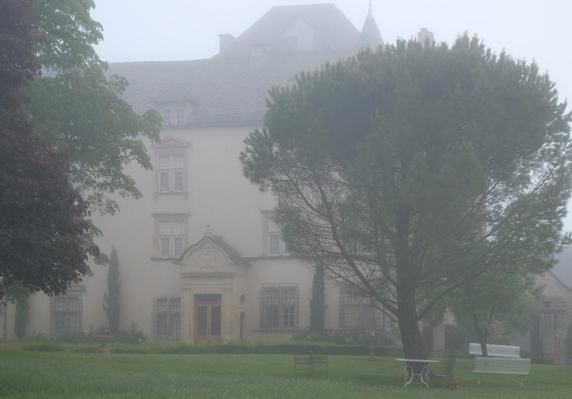 Chateau De Balsac Druelle Balsac Bagian luar foto