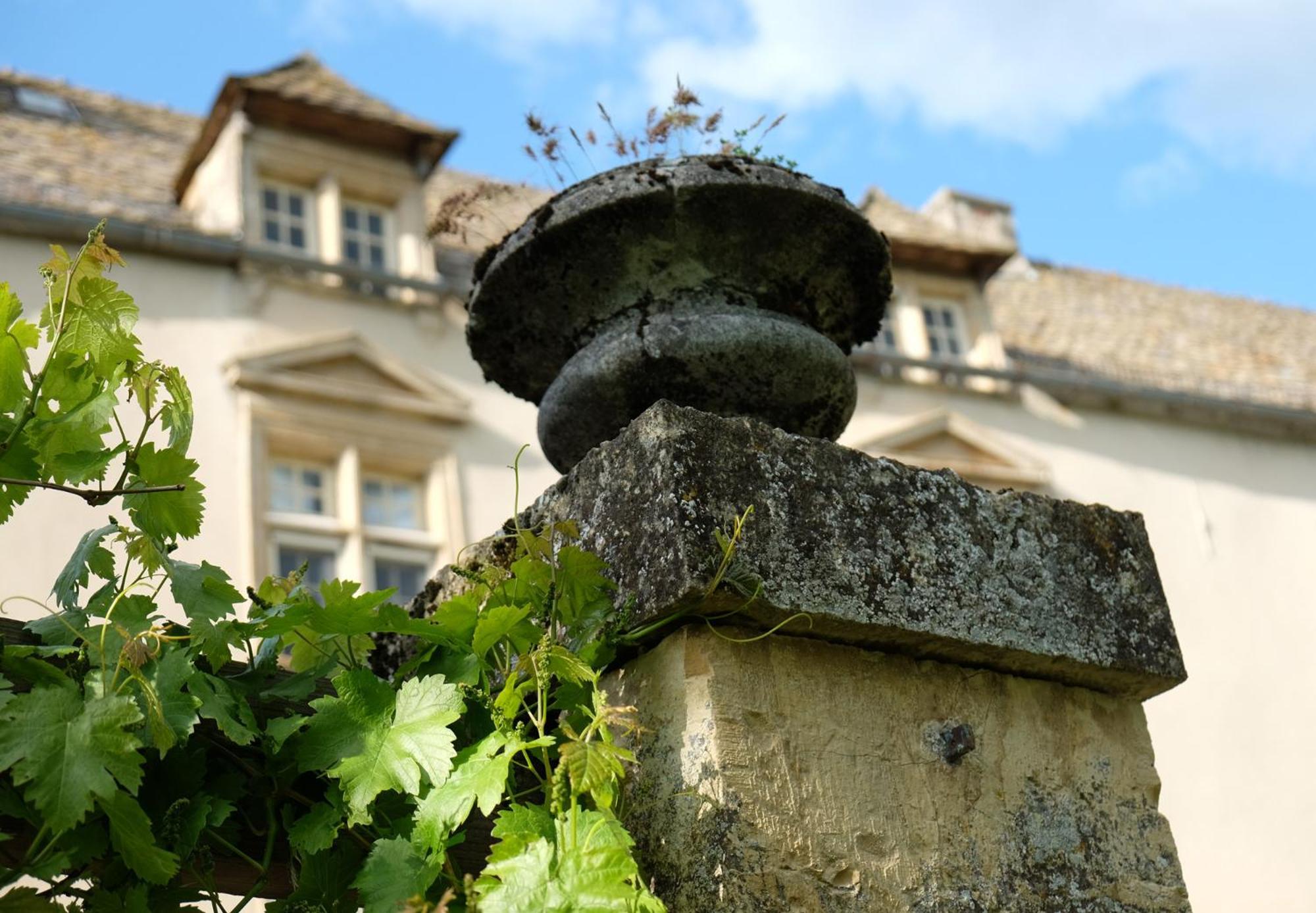Chateau De Balsac Druelle Balsac Bagian luar foto