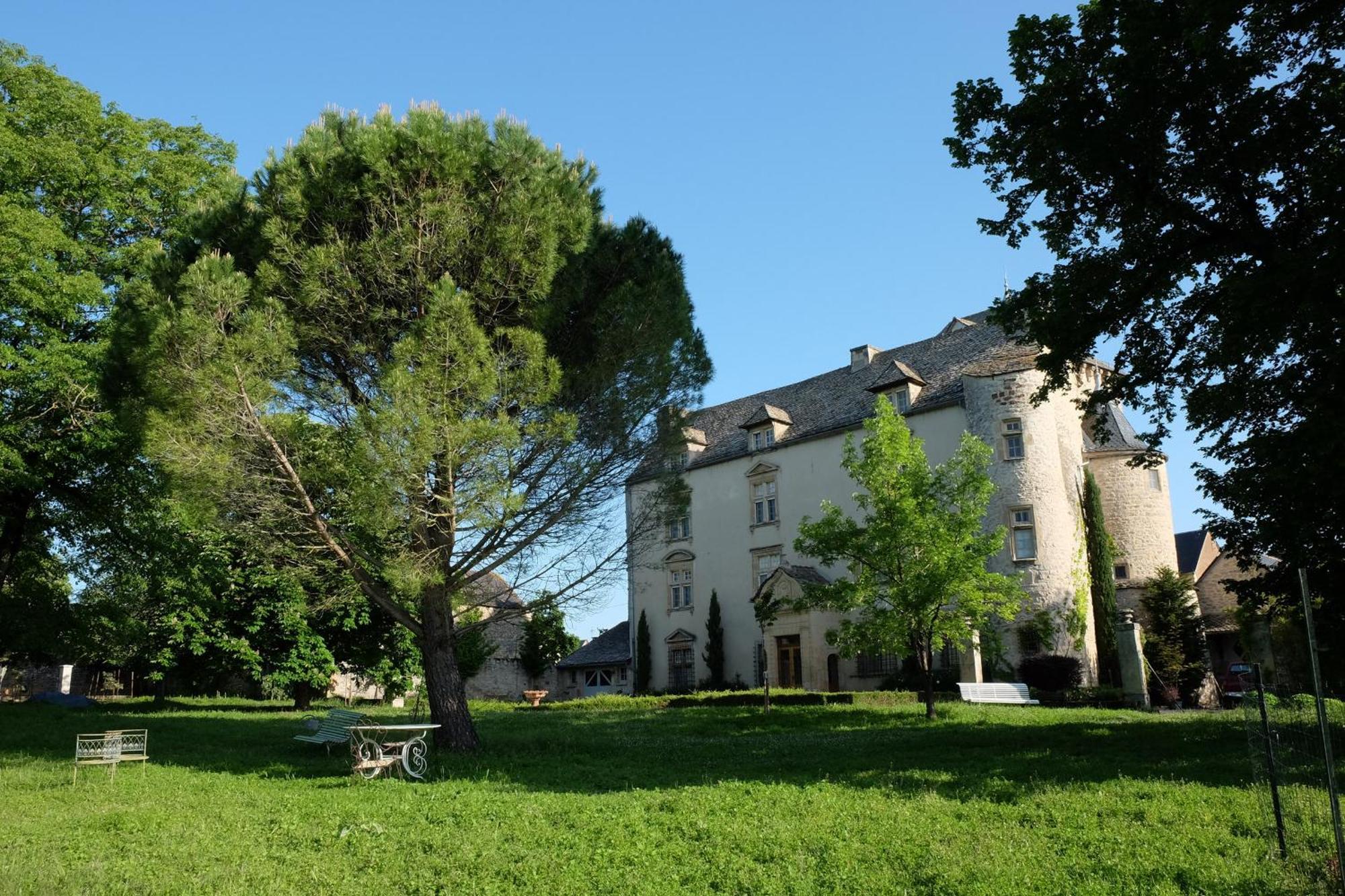 Chateau De Balsac Druelle Balsac Bagian luar foto