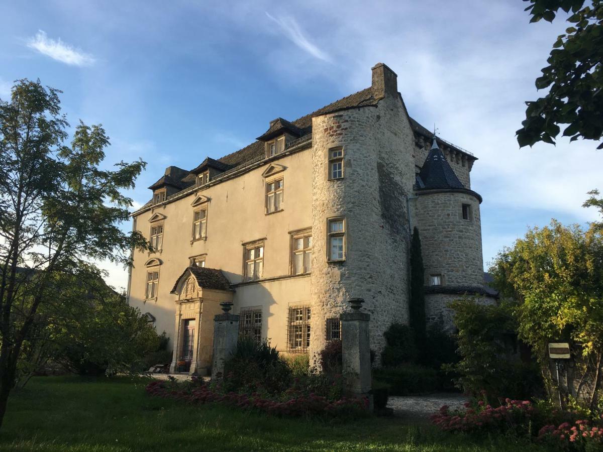 Chateau De Balsac Druelle Balsac Bagian luar foto